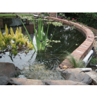 60m Mains Powered Garden & Pond Protection Kit - With 20 x 80cm Long Over Hanging Arms