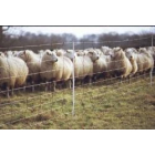 Battery Powered Sheep Netting Kit - 100m x 0.85m Orange