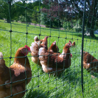 25m Battery Powered Professional Poultry Netting Kit