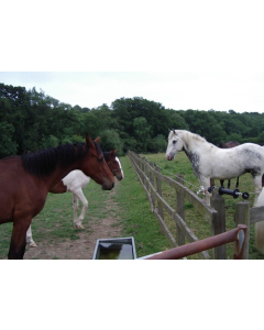 Post and Rail Protection Kit - 400m Rope Solar Powered