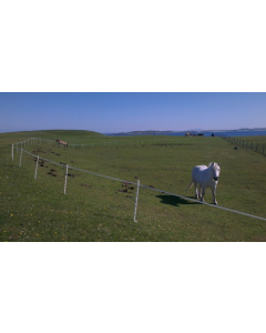 200m Solar - 2 Line Strip Grazing Kit for Horses with 1 Meter Tall Posts