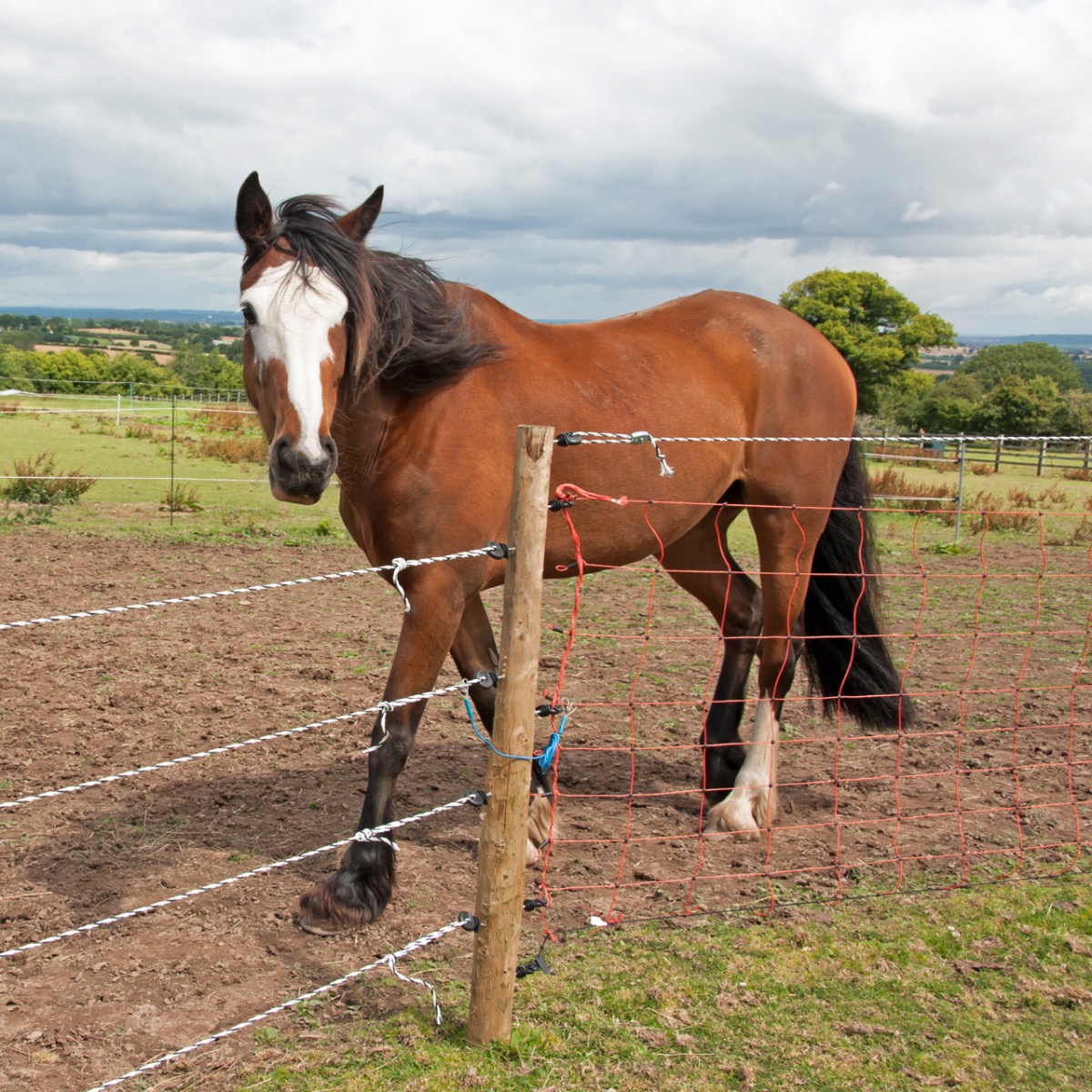 The basic principles for setting up an electric fence