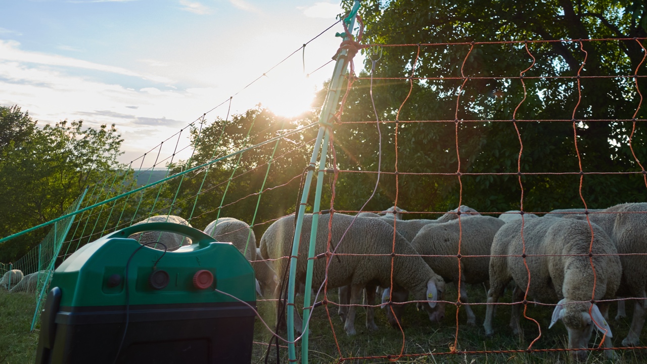 All the frequently asked questions about electric fencing answered here...