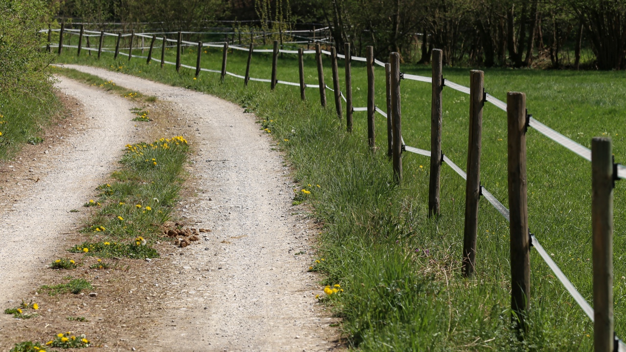 Downloadable advice and instructions about different types of electric fencing...